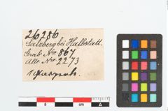 Etikett zu Glasperle (NHMW-PRAE-026286)